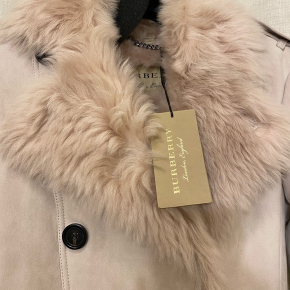 Burberry shearling toddingwall suede fur leather coat - Picture 5 of 10